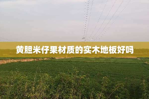 黄胆米仔果材质的实木地板好吗