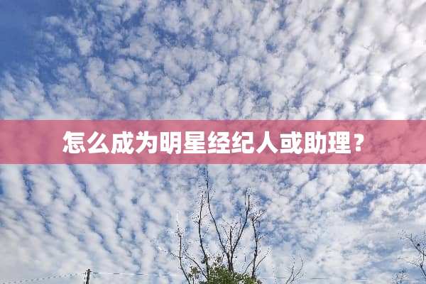 怎么成为明星经纪人或助理？
