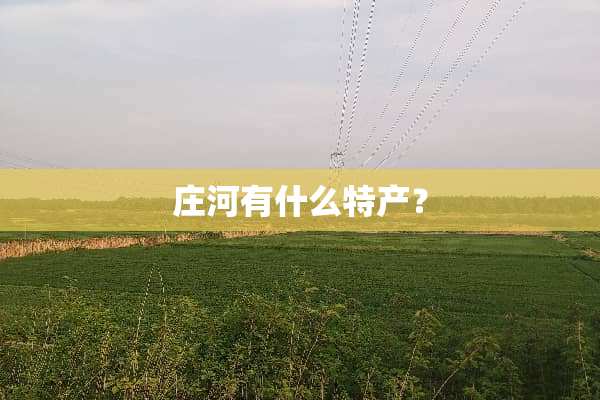 庄河有什么特产？