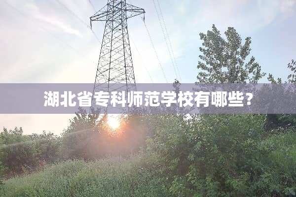 湖北省专科师范学校有哪些？