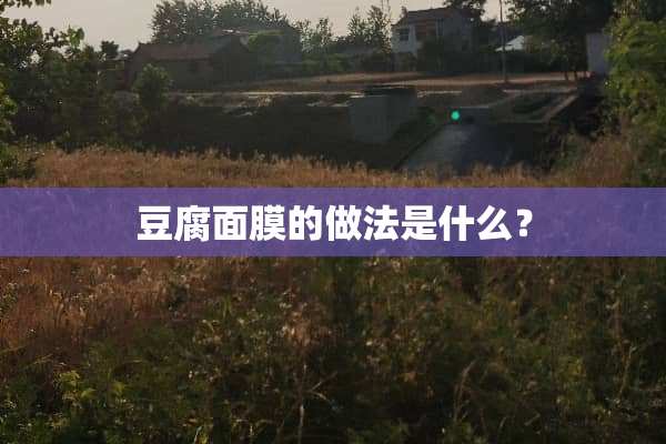 豆腐面膜的做法是什么？