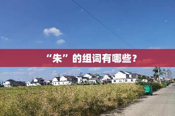 “朱”的组词有哪些？