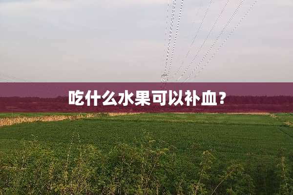 吃什么水果可以补血？