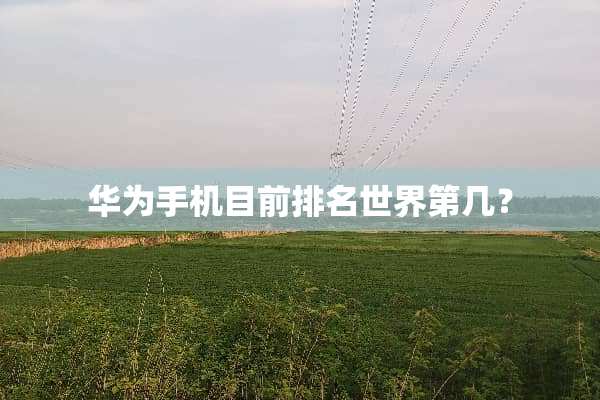 华为手机目前排名世界第几？