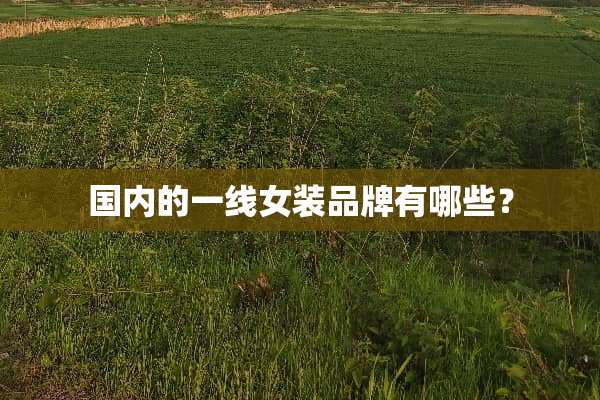 国内的一线女装品牌有哪些？