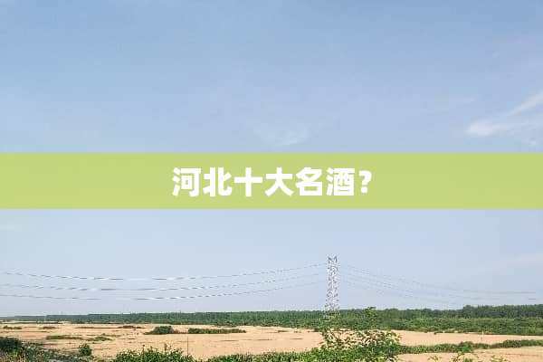 河北十大名酒？