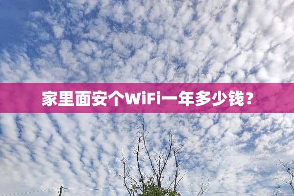 家里面安个WiFi一年多少钱？