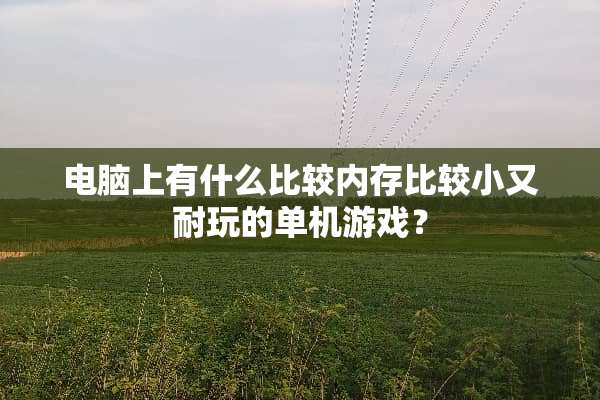 电脑上有什么比较内存比较小又耐玩的单机游戏？