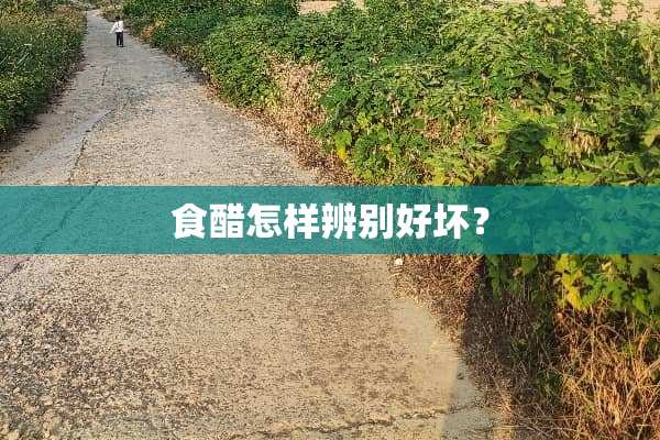 食醋怎样辨别好坏？