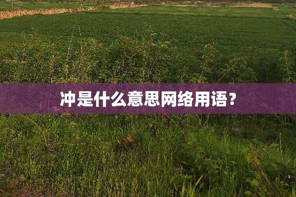 冲是什么意思网络用语？