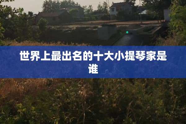 世界上最出名的十大小提琴家是谁