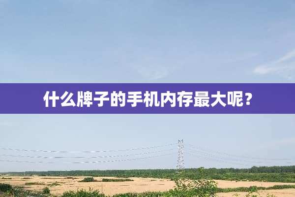 什么牌子的手机内存最大呢？