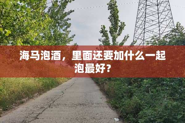 海马泡酒，里面还要加什么一起泡最好？