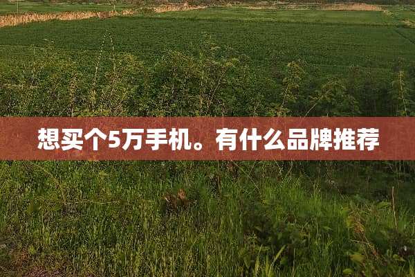想买个5万手机。有什么品牌推荐