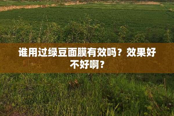 谁用过绿豆面膜有效吗？效果好不好啊？