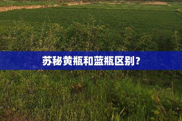 苏秘黄瓶和蓝瓶区别？