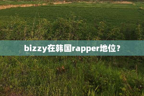 bizzy在韩国rapper地位？