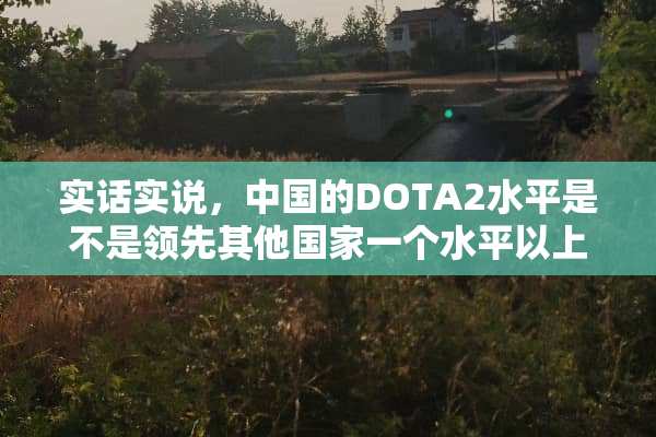实话实说，中国的DOTA2水平是不是领先其他国家一个水平以上？