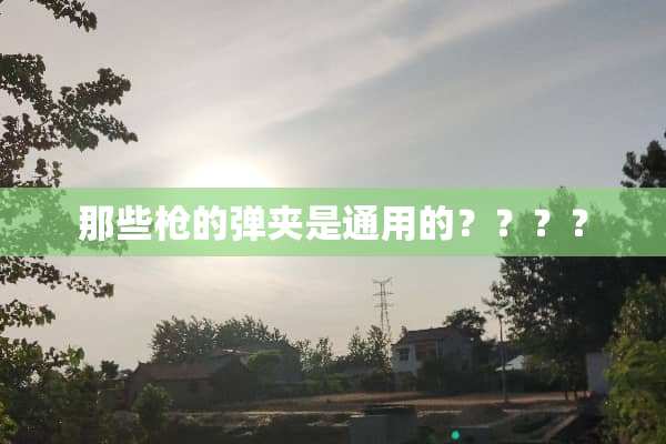 那些*的**是通用的？？？？
