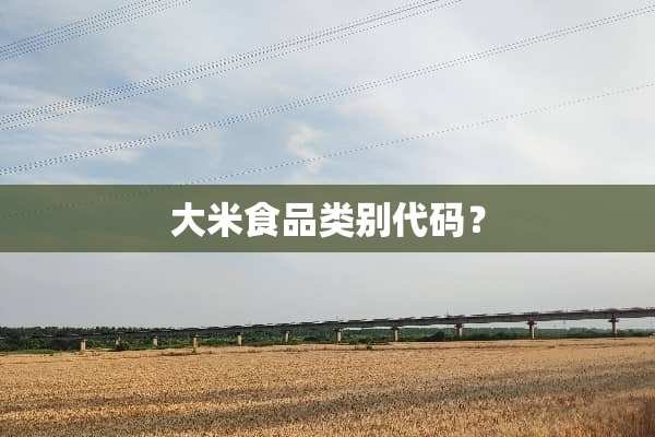 大米食品类别代码？