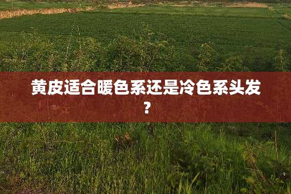 黄皮适合暖色系还是冷色系头发？