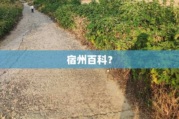 宿州百科？