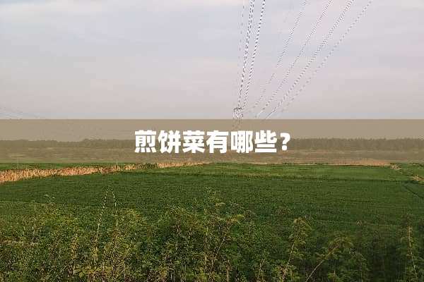 煎饼菜有哪些？