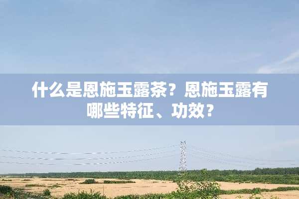 什么是恩施玉露茶？恩施玉露有哪些特征、功效？
