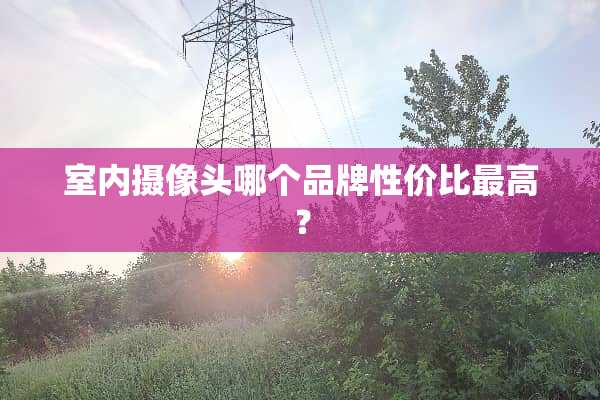 室内**头哪个品牌性价比最高？