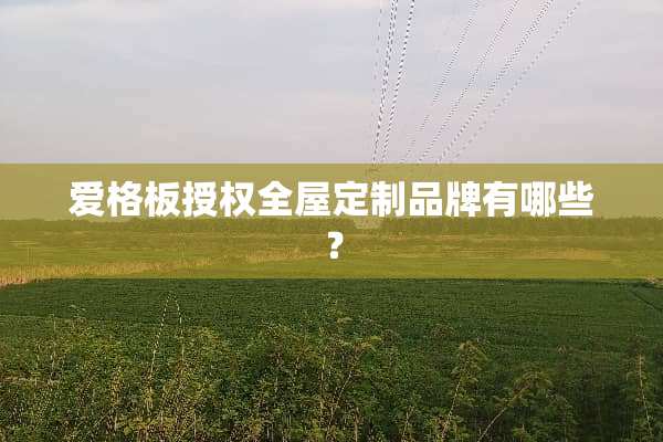 爱格板授权全屋定制品牌有哪些？