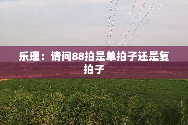乐理：请问88拍是单拍子还是复拍子
