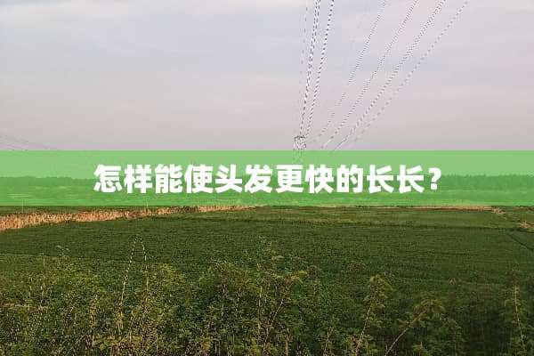 怎样能使头发更快的长长？