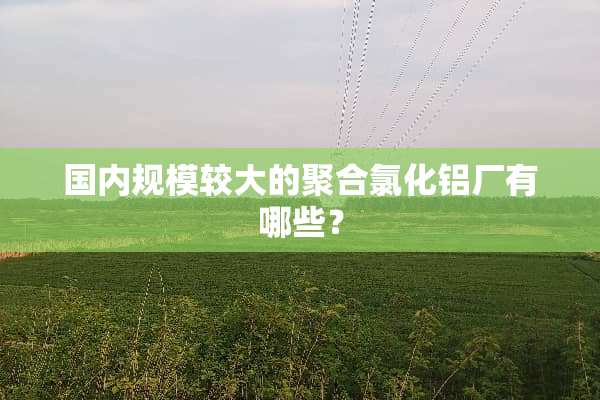 国内规模较大的聚合氯化铝厂有哪些？