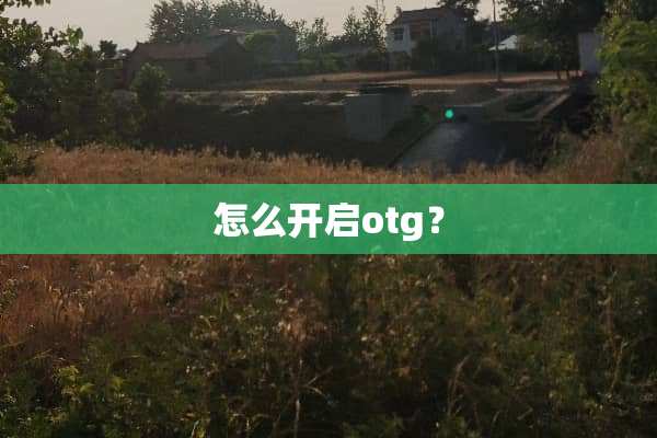 怎么开启otg？