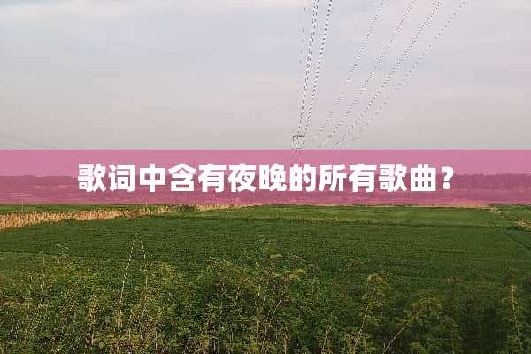 歌词中含有夜晚的所有歌曲？