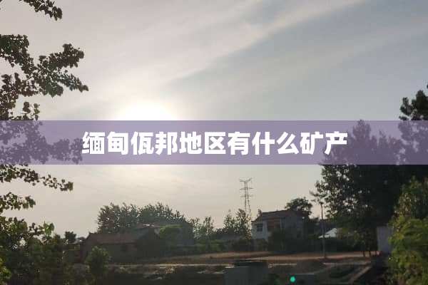 缅甸佤邦地区有什么矿产