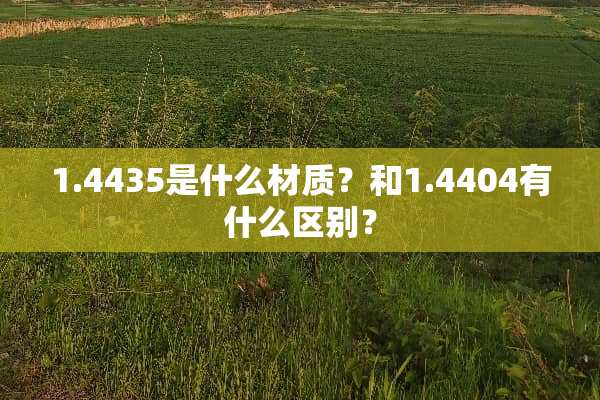 1.4435是什么材质？和1.4404有什么区别？