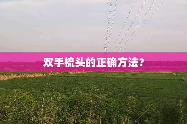 双手梳头的正确方法？