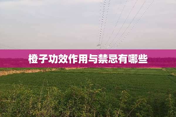 橙子功效作用与禁忌有哪些