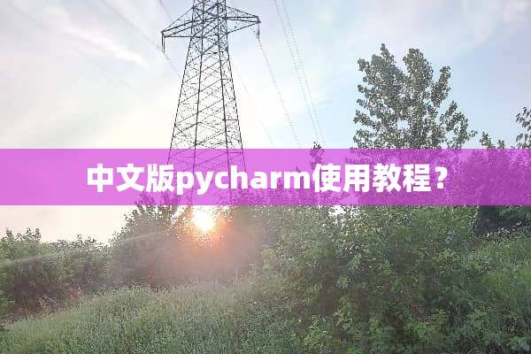中文版pycharm使用教程？