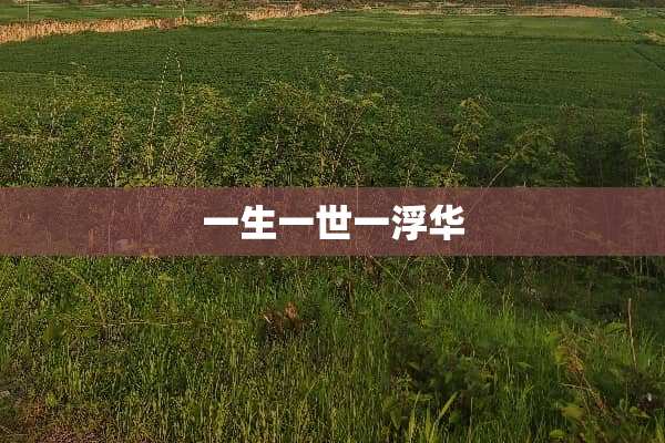 一生一世一浮华