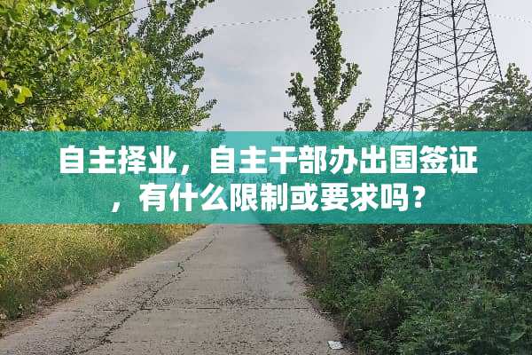 自主择业，自主干部办出国签证，有什么限制或要求吗？