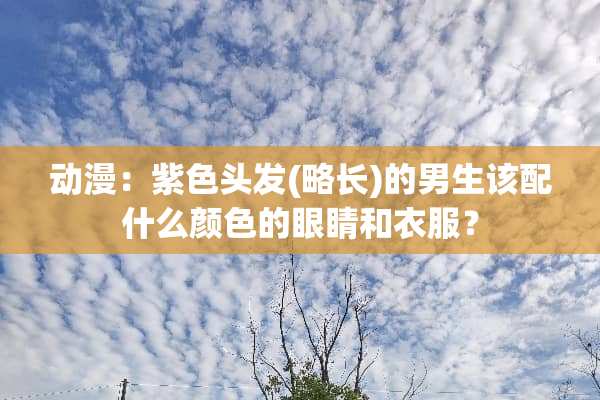 动漫：紫色头发(略长)的男生该配什么颜色的眼睛和衣服？