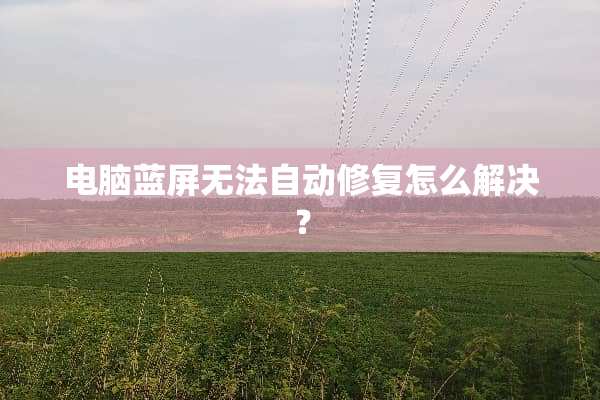 电脑蓝屏无法自动修复怎么解决？