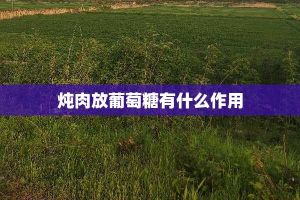 炖肉放葡萄糖有什么作用