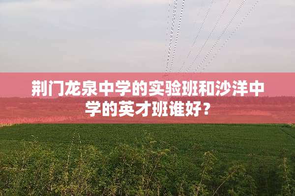 荆门龙泉中学的实验班和沙洋中学的英才班谁好？
