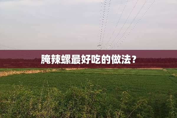 腌辣螺最好吃的做法？
