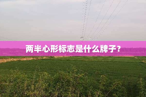 两半心形标志是什么牌子？