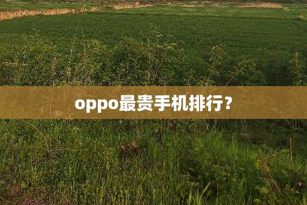 oppo最贵手机排行？