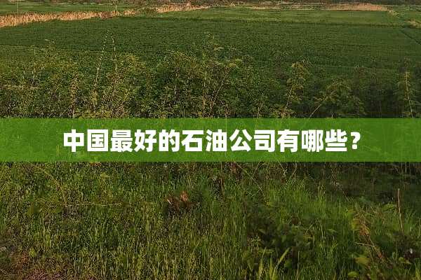 中国最好的石油公司有哪些？